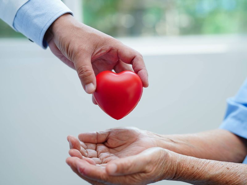 Palliative Palliative